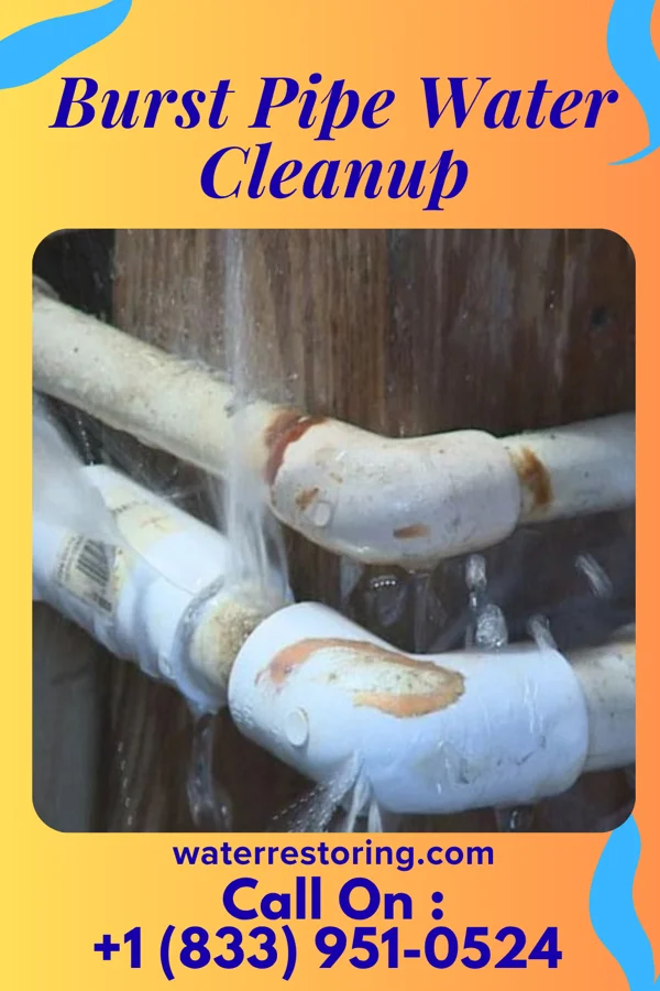 Burst Pipe Water Cleanup in Stuart, NE