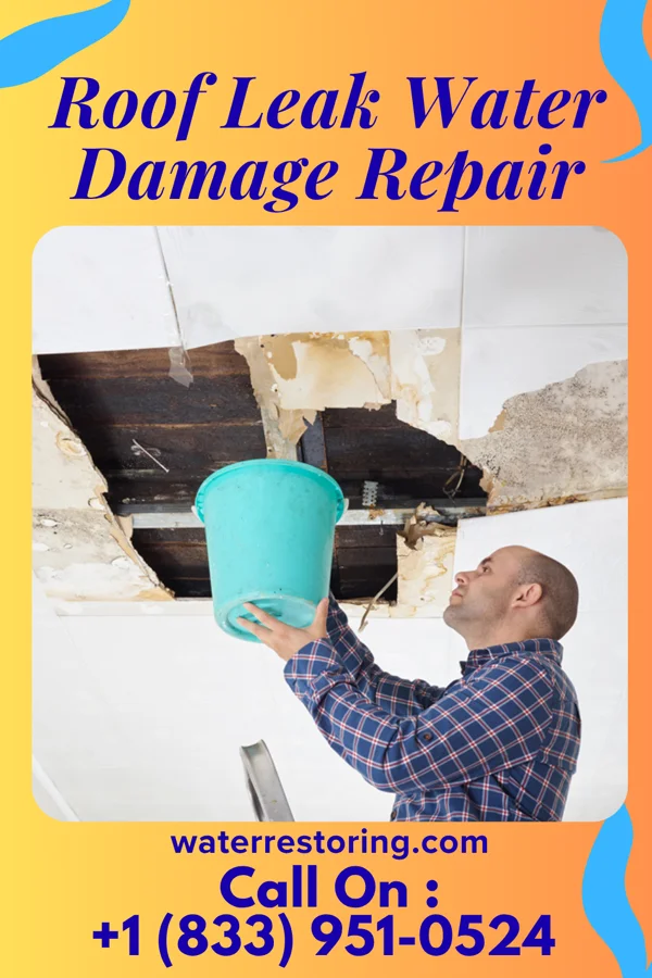 Roof Leak Water Damage Repair in Stuart, NE