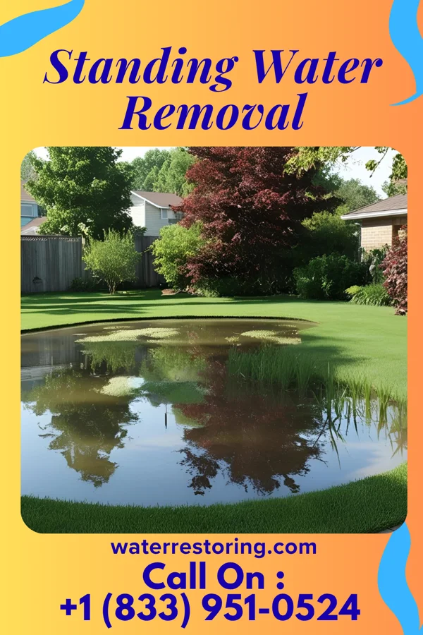 Standing Water Removal in Stuart, NE